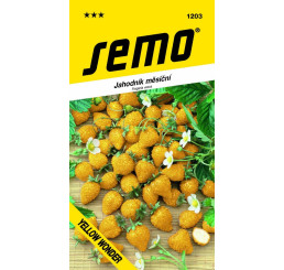 Jahoda YELLOW WONDER, bal. 0,1 g