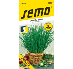 Pažítka pravá ERECTA, pevná vzpriamená, bal. 2 g