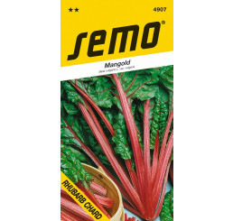 Mangold zelený listový s červenou stopkou RHUBARB CHARD, bal. 3 g