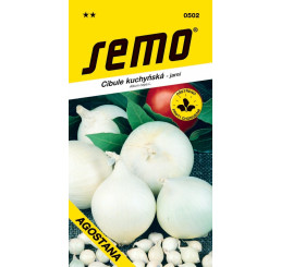 Cibuľa biela jarná ´AGOSTANA´, bal. 1 g