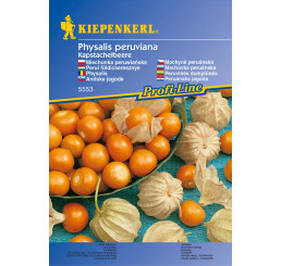 Machovka peruánska Kapstachelbeere, bal. stačí pre 30 rastlín
