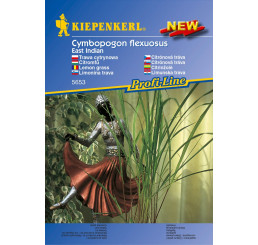 Cymbopogon flexuosus / Citrónová tráva East Indian, bal. stačí pre 50 rastlín