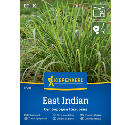 Cymbopogon flexuosus / Citrónová tráva East Indian, bal. stačí pre 50 rastlín