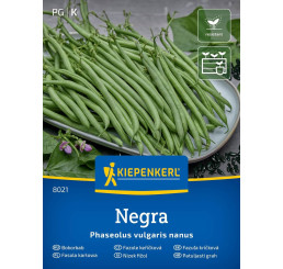 Fazuľa kríčková Negra, bal. na 10 m