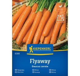 Mrkva Flyaway, bal. na 4 m