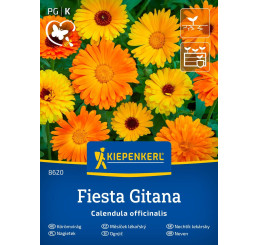 Calendula Fiesta Gitana / Nechtík, bal. na ca. 60 r.