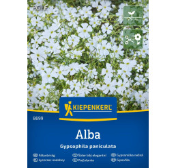 Gypsophila Paniculata Weiß / Gypsomilka, bal. na 25 r.