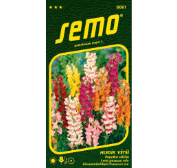 Antirrhinum majus / Papuľka väčšia ´MAXIMUM´, bal. 0,5 g