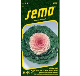 Brassica oleracea / Kel okrasný ´VICTORIA PIGEON F1´, bal. 20 s.