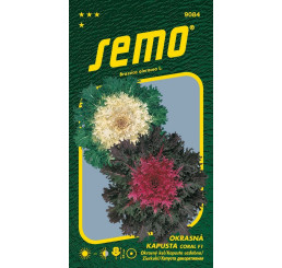 Brassica oleracea / Kel okrasný ´CORAL F1 MIX´, bal. 20 s.