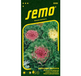 Brassica oleracea / Kel okrasný ´ZMES FARIEB´, bal. 0,5 g