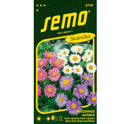 Aster alpinus / Astra alpínska ´ZMES FARIEB´, bal. 0,7 g