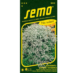 Goniolimon tataricum / Statica tatárska ´BIELA´, bal. 0,2 g