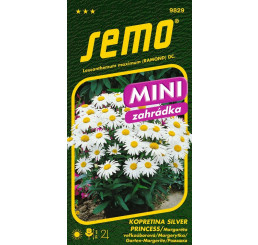 Leucanthemum m. / Margaréta veľkoúb. ´SILVER PRINCESS´, bal. 0,3 g