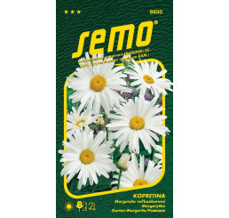 Leucanthemum max. / Margaréta veľkoúb. ´SHASTA DAISY´, bal. 0,8 g