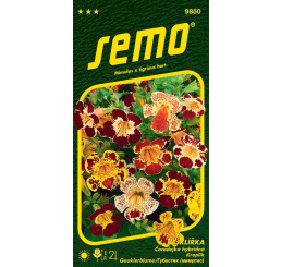 Mimulus tigrinus / Čarodejka hybridná ´VEĽKOKVETÁ´, bal. 0,1 g