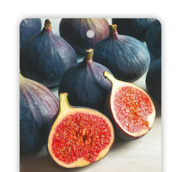 Ficus carica ´Black Mission´ / Čiernoplodý figovník, C2