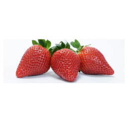 Fragaria ananassa ´Clery´ / Skoro plodiaca jahoda, bal. 6 ks, 6xK7