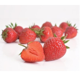 Fragaria ananassa ´Elvíra´ / Skoro plodiaca jahoda, bal. 10 ks, VK