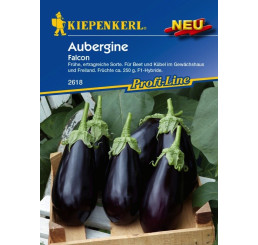 Baklažán Falcon, bal. 8 sem.