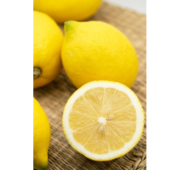 Citrus limon ´Genoa´ / Citrónovník, 25-40 cm, C2