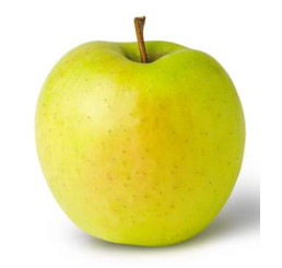 Malus domestica ´Golden Delicious´ / Jabloň zimná, M9