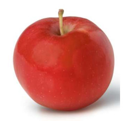 Malus domestica ´Idared´ / Jabloň zimná