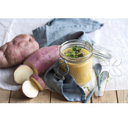 Ipomoea batata ´Erato® Gusto / Sladký zemiak, K12