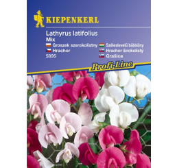 Lathyrus latifolius Mix / Hrachor, bal. na 25 r.
