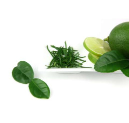 Citrus hystrix BIO / Thajská limetka, 20 cm, K12