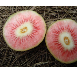 Actinidia arguta ´Ken´s Red´ / Drobnoplodé kiwi, K9, samičia r.