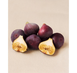 Ficus carica ´Brown Turkey´ / Čiernoplodý figovník, 20-25 cm, K9