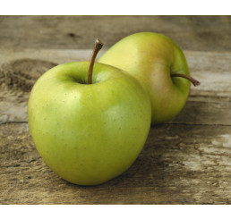 Malus domestica ´Golden Delicious´ / Jabloň zimná