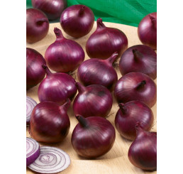 Cibuľa sadzačka červená ´RED BARON´ BIO, bal. 0,30 kg, 8/16 mm