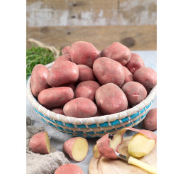 Solanum Tub. ´Rosara´ / Sadbové zemiaky ružové,  veľmi skoré, bal. 5 kg, I.