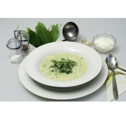 Allium ursinum BIO / Cesnak medvedí, K12
