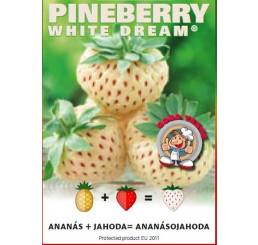 Fragaria Pineberry® ´White Dream´ / Ananásojahoda, K9