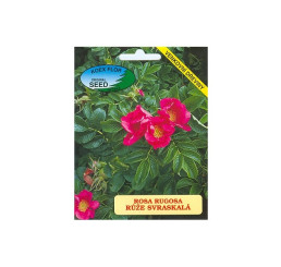 Rosa rugosa / Ruža vráskavá, bal. 30 sem.