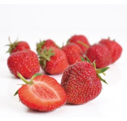 Fragaria ananassa ´Senga Sengana´ / Stredne skoro plodiaca jahoda, bal. 10 ks, VK