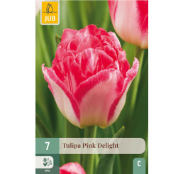Tulipa ´Pink Delight´ / Tulipán, bal. 7 ks, 11/12