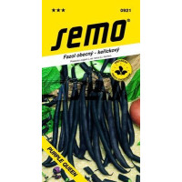 Fazuľa záhradná kríčková fialostruková PURPLE QUEEN, bal. 10 g