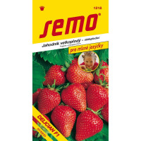 Jahoda DELICIAN F1, bal. 12 s.