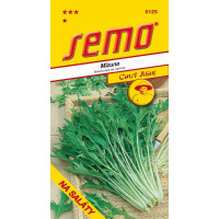 Mizuna strihanolistá ´MIZUNA´, bal. 1,6 g