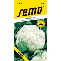 Karfiol skorý ´BORA ´, bal. 0,5 g