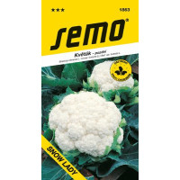 Karfiol letný a jesenný SNOW LADY, bal. 50 s.