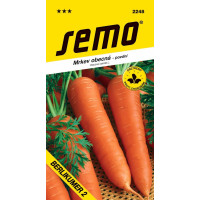 Mrkva neskorá BERLIKUMER 2 (ROMOSA), bal. 10 g