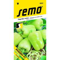 Paprika ročná pre rých. aj pole ´KVADRY F1 ´, bal. 15 s.