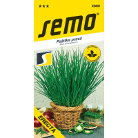 Pažítka pravá ERECTA, pevná vzpriamená, bal. 2 g