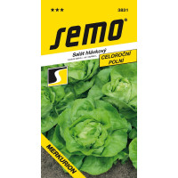 Šalát hlávkový poľný celoročný MERKURION, bal. 0,6 g