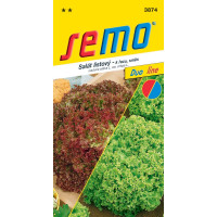 Šalát listový červený a zelený ´ZMES TYPU LOLO´, bal. 0,6 g